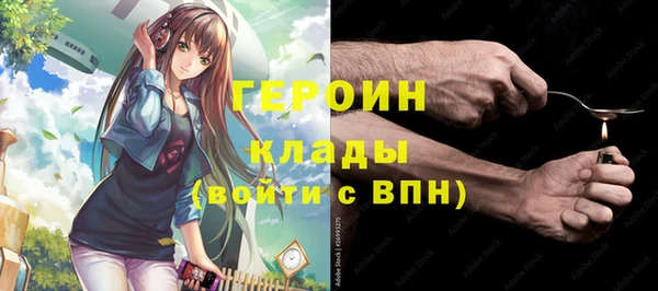 индика Нягань