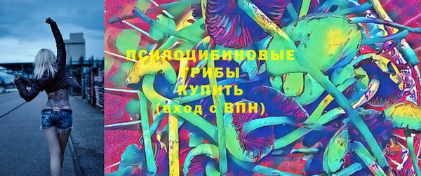 mdpv Валдай